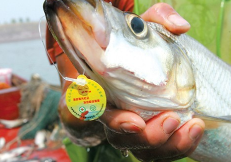 魚(yú)的防偽標(biāo)簽是什么樣的？-、315產(chǎn)品防偽查詢(xún)中心